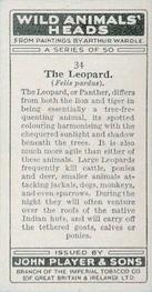 1931 Player's Wild Animals' Heads #34 Leopard Back