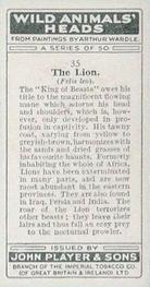1931 Player's Wild Animals' Heads #35 Lion Back
