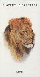 1931 Player's Wild Animals' Heads #35 Lion Front