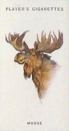 1931 Player's Wild Animals' Heads #38 Moose Front