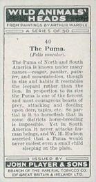1931 Player's Wild Animals' Heads #40 Puma Back