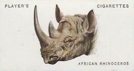 1931 Player's Wild Animals' Heads #41 African Rhinoceros Front