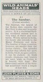 1931 Player's Wild Animals' Heads #43 Sambar Back
