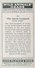 1931 Player's Wild Animals' Heads #44 Snow Leopard Back