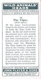1931 Player's Wild Animals' Heads #46 Tiger Back