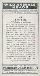 1931 Player's Wild Animals' Heads #49 Yak Back