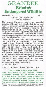 1984 Grandee Britain's Endangered Wildlife #11 Great Crested Newt Back