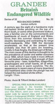 1984 Grandee Britain's Endangered Wildlife #22 Red-Backed Shrike Back