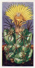 1965 Cacti #7 Coryphantha bumamma Front