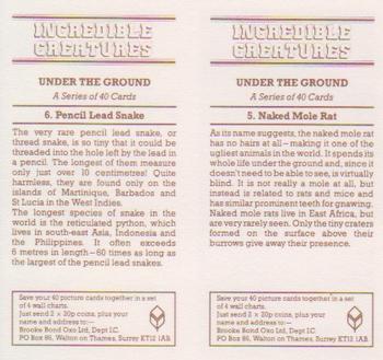 1986 Brooke Bond Incredible Creatures (Walton address with Dept IC)(Double Cards) #5-6 Naked Mole Rat / Pencil Lead Snake Back