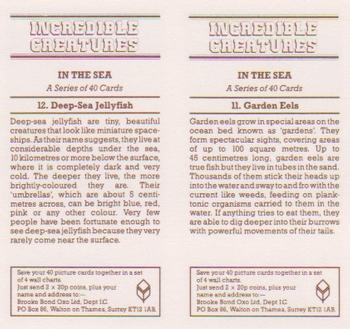 1986 Brooke Bond Incredible Creatures (Walton address with Dept IC)(Double Cards) #11-12 Garden Eels / Deep-Sea Jellyfish Back