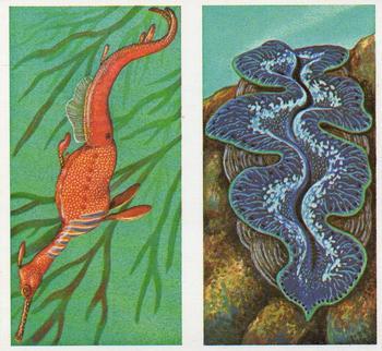 1986 Brooke Bond Incredible Creatures (Walton address with Dept IC)(Double Cards) #15-16 WeedySea Dragon / Giant Clam Front