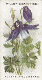 1913 Wills's Alpine Flowers #42 Alpine Columbine Front