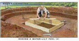 1938 Wills's Garden Hints #4 Making a Water-Lily Pool (A) Front