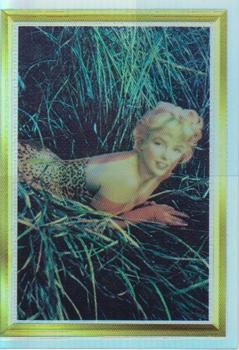 1995 Marilyn Monroe - Holochrome #10 Eve Arnold captured Marilyn Front