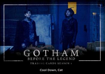2016 Cryptozoic Gotham Season 1 #34 Cool Down, Cat Front