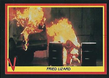 1984 Fleer V #5 Fried Lizard Front
