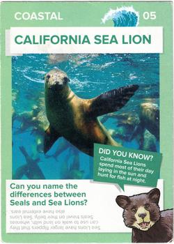 2016 Winn-Dixie Go Wild #C5 California Sea Lion Front