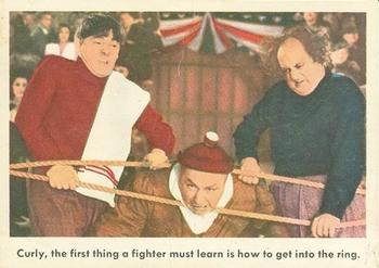 1959 Fleer The Three Stooges #63 Curly, the first thing a fighter must learn is how to get into the ring. Front