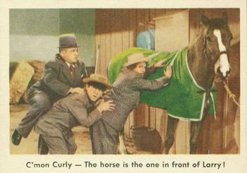 1959 Fleer The Three Stooges #13 C'mon Curly - The horse is the one in front of Larry! Front