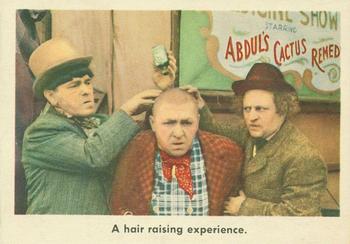 1959 Fleer The Three Stooges #42 A hair raising experience. Front