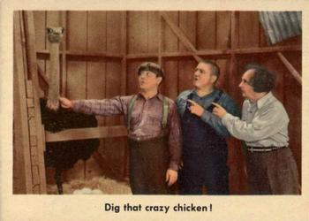 1959 Fleer The Three Stooges #45 Dig that crazy chicken! Front