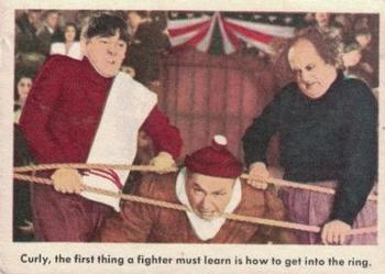 1959 Fleer The Three Stooges #63 Curly, the first thing a fighter must learn is how to get into the ring. Front