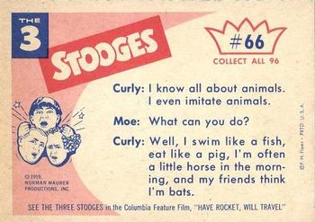 1959 Fleer The Three Stooges #66 He has 40 teeth and 4 cavities! Back