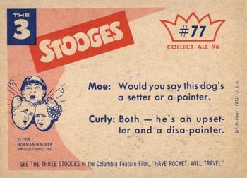 1959 Fleer The Three Stooges #77 Where has that doggone dog gone? Back