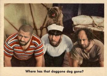 1959 Fleer The Three Stooges #77 Where has that doggone dog gone? Front