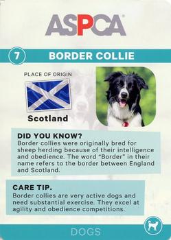 2016 ASPCA Pets & Creatures #7 Border Collie Back