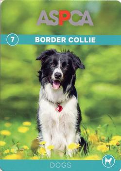 2016 ASPCA Pets & Creatures #7 Border Collie Front