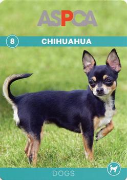 2016 ASPCA Pets & Creatures #8 Chihuahua Front