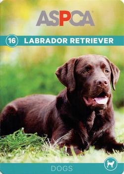 2016 ASPCA Pets & Creatures #16 Labrador Retriever Front