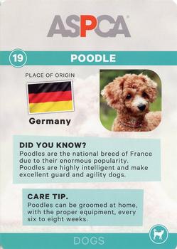 2016 ASPCA Pets & Creatures #19 Poodle Back