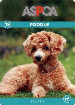 2016 ASPCA Pets & Creatures #19 Poodle Front