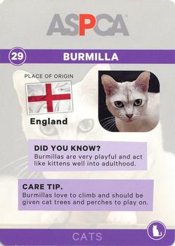 2016 ASPCA Pets & Creatures #29 Burmilla Back