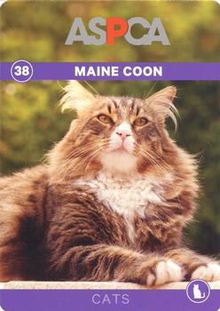 2016 ASPCA Pets & Creatures #38 Maine Coon Front