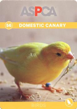2016 ASPCA Pets & Creatures #56 Domestic Canary Front