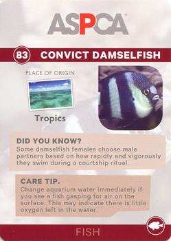 2016 ASPCA Pets & Creatures #83 Convict Damselfish Back