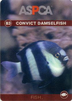 2016 ASPCA Pets & Creatures #83 Convict Damselfish Front
