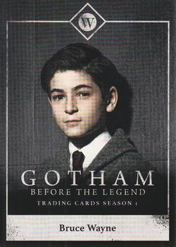 2016 Cryptozoic Gotham Season 1 - Character Bios #C03 Bruce Wayne Front