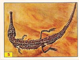 1992 Panini/Kellogg's Cruncheroos Dinosaur Stickers #5 Mystriosaurus Front