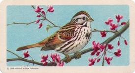 1959 Brooke Bond (Red Rose Tea) Songbirds of North America #2 Song Sparrow Front