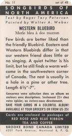 1959 Brooke Bond (Red Rose Tea) Songbirds of North America #11 Western Bluebird Back