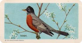 1959 Brooke Bond (Red Rose Tea) Songbirds of North America #23 Robin Front