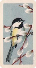 1959 Brooke Bond (Red Rose Tea) Songbirds of North America #25 Black-capped Chickadee Front