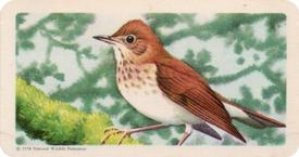 1959 Brooke Bond (Red Rose Tea) Songbirds of North America #31 Veery Front