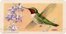 1959 Brooke Bond (Red Rose Tea) Songbirds of North America #33 Ruby-throated Hummingbird Front