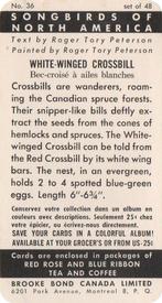 1959 Brooke Bond (Red Rose Tea) Songbirds of North America #36 White-winged Crossbill Back